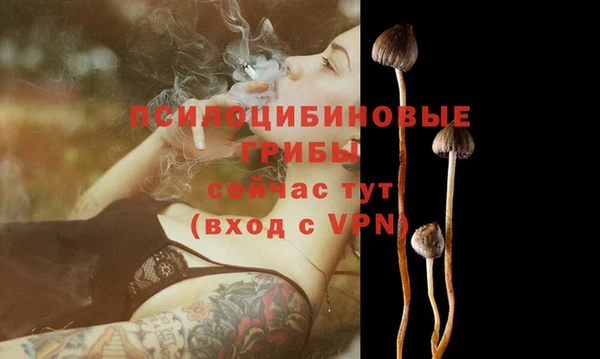 прущая мука Липки