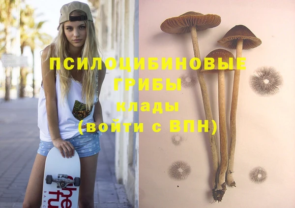 Альфа ПВП Лиски